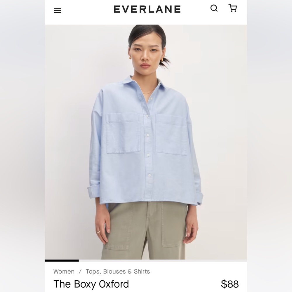 Everlane Button Down Oxford Shirt